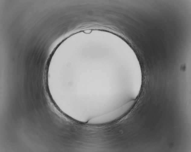 X0000114631518200912011013