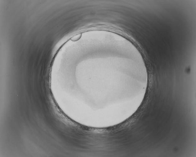 X0000114631522200912011013