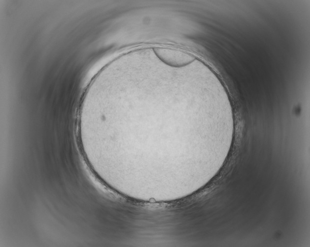 X0000114631523200912011013