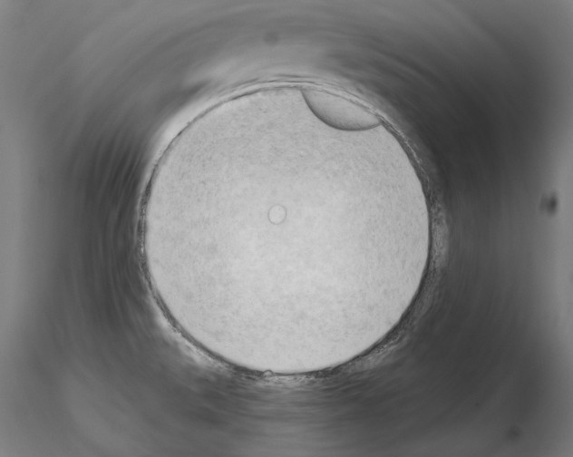 X0000114631527200912011013