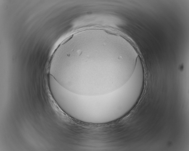 X0000114631530200912011013