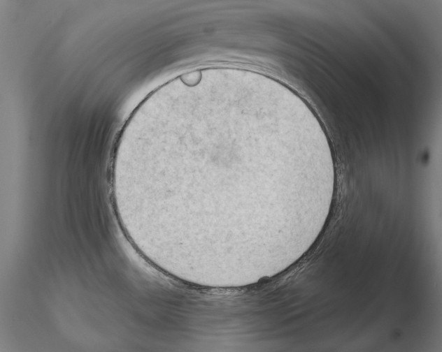 X0000114631531200912011013