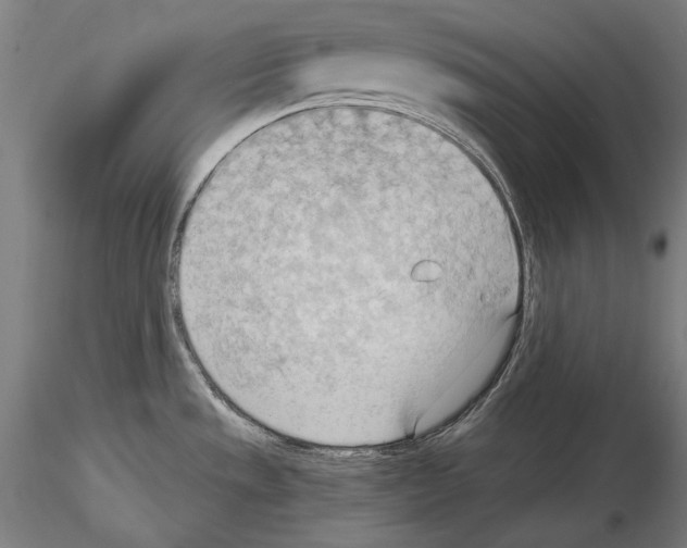 X0000114631533200912011013