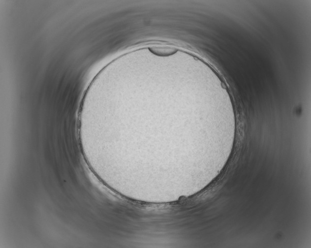 X0000114631535200912011013