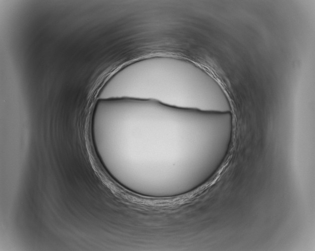 X0000114640001200910200950