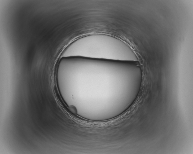 X0000114640002200910200950