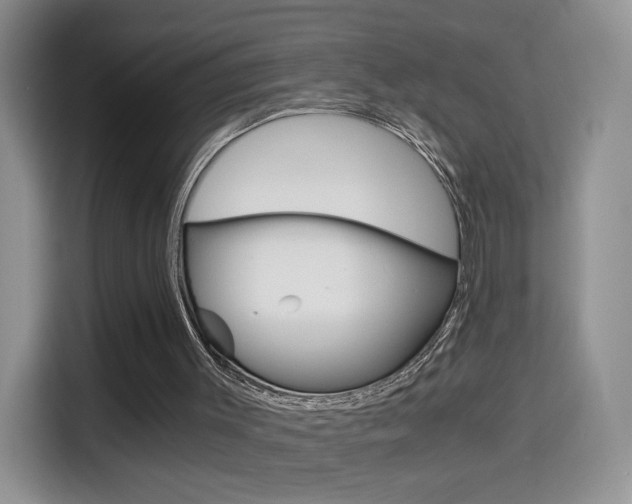 X0000114640003200910200950