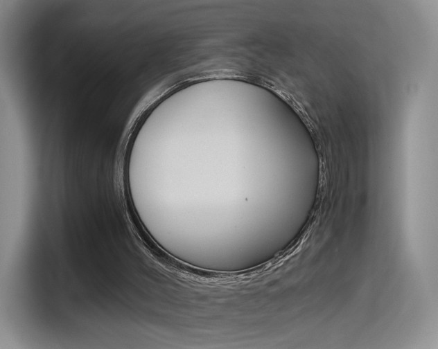 X0000114640004200910200950