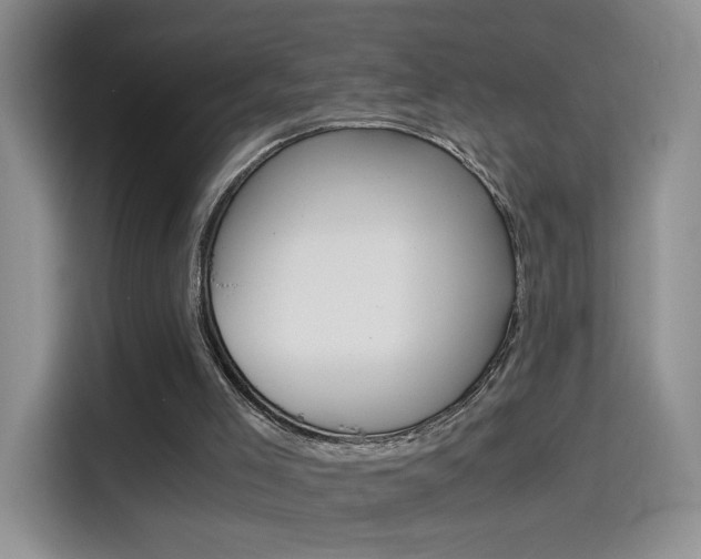 X0000114640005200910200950
