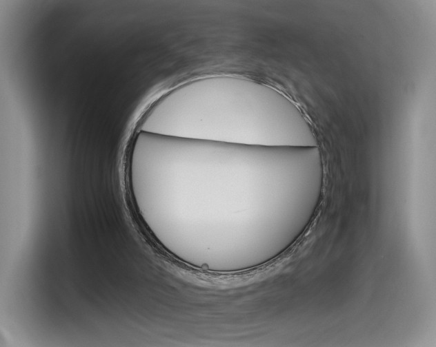 X0000114640006200910200950