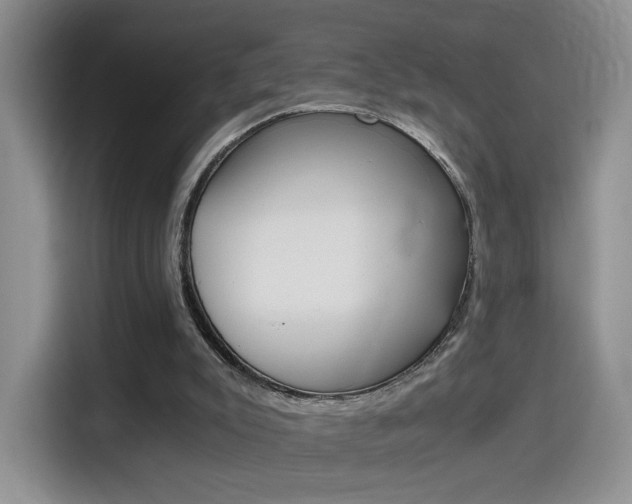 X0000114640007200910200950