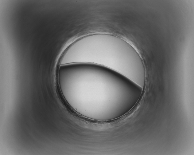 X0000114640008200910200950
