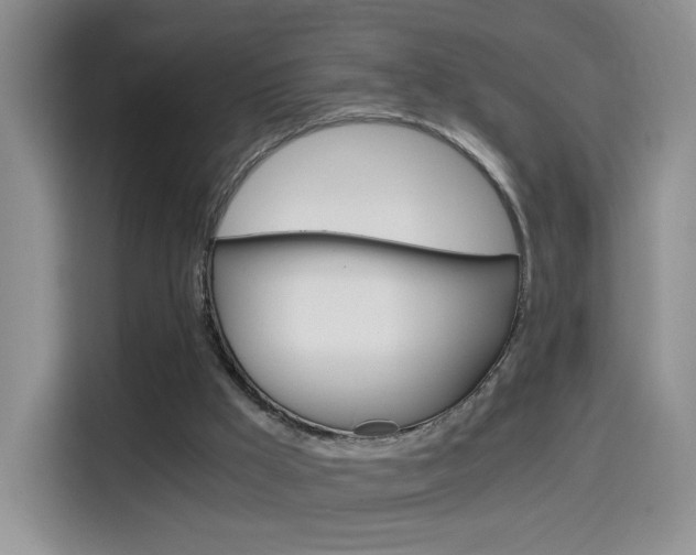X0000114640009200910200950