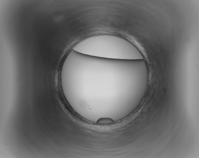 X0000114640010200910200950