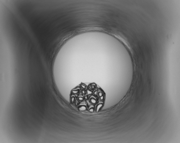 X0000114640013200910200950