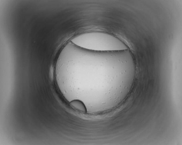 X0000114640014200910200950