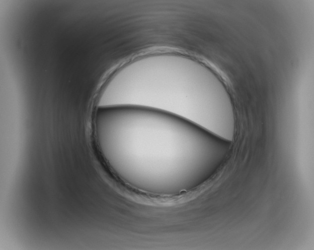 X0000114640015200910200950