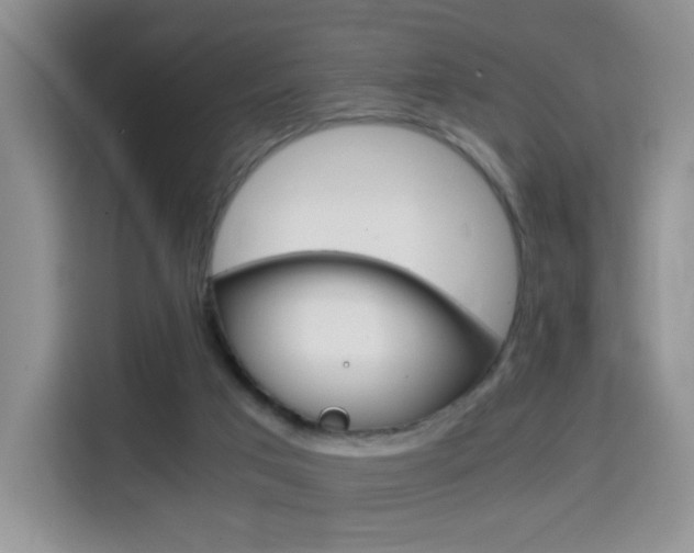 X0000114640017200910200950