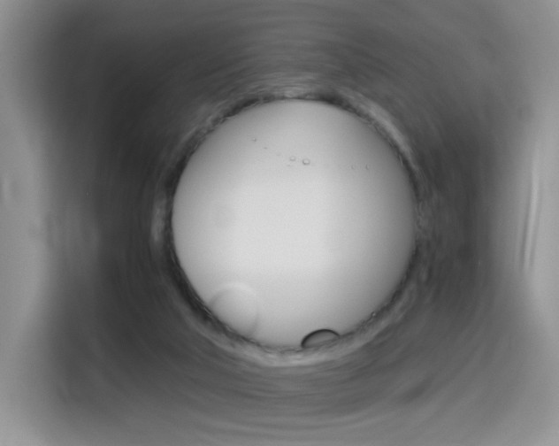 X0000114640018200910200950