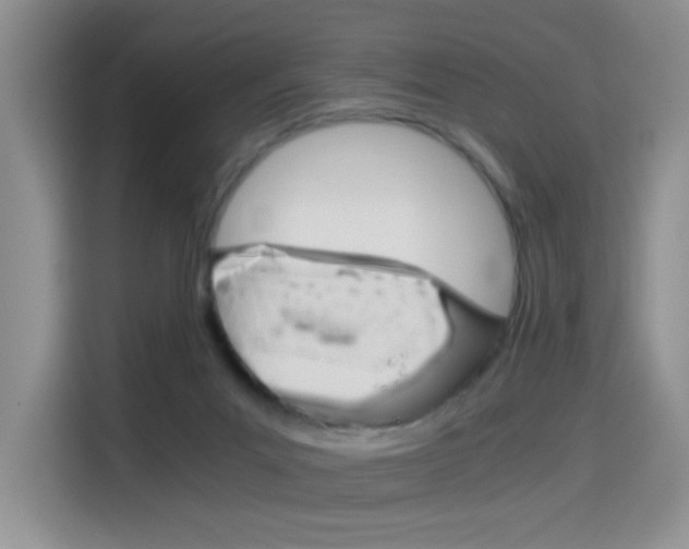 X0000114640023200910200950