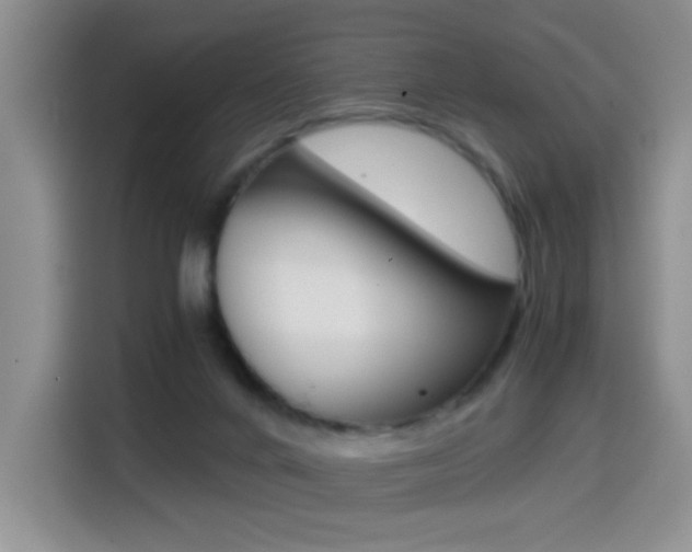 X0000114640024200910200950