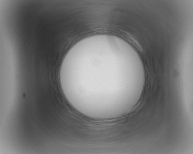 X0000114640025200910200950