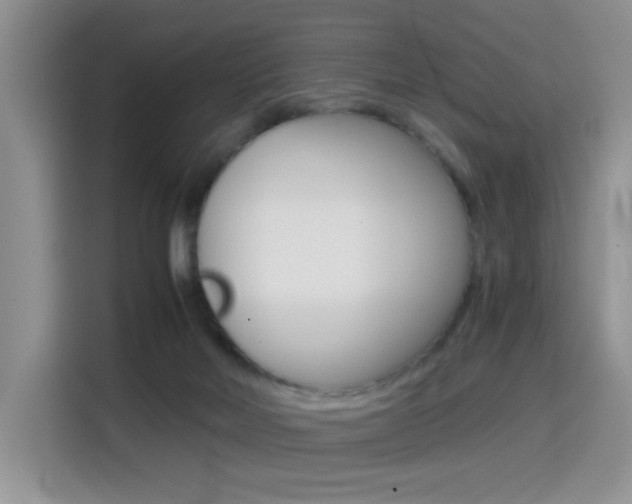 X0000114640026200910200950