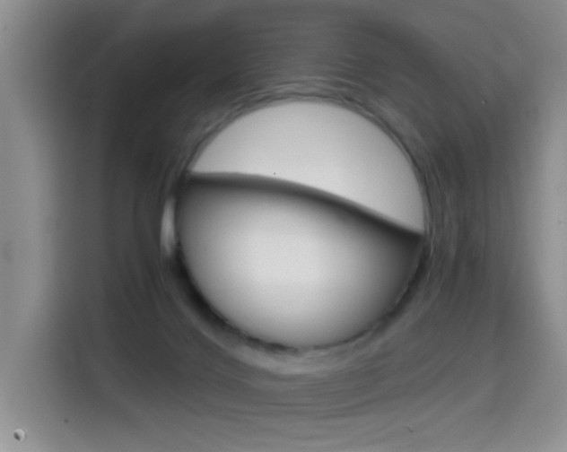 X0000114640028200910200950