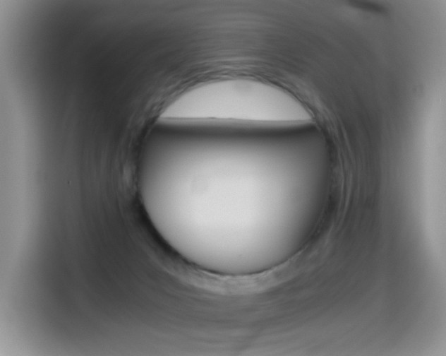 X0000114640031200910200949