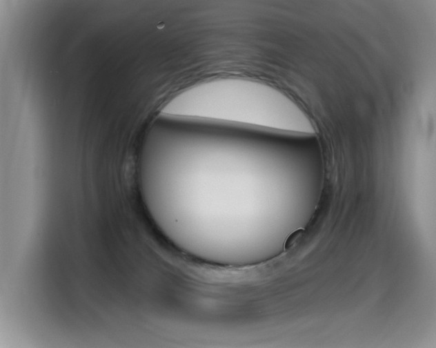 X0000114640036200910200949