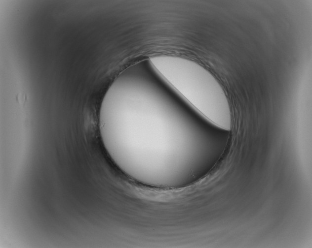 X0000114640040200910200949