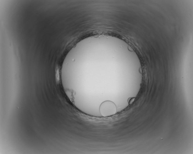X0000114640042200910200949