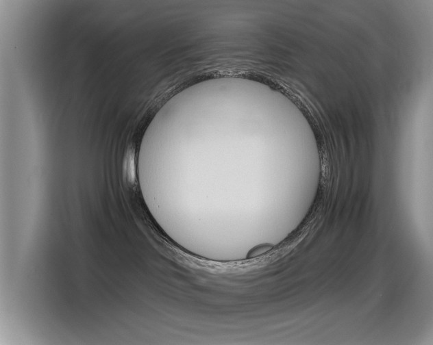 X0000114640046200910200949