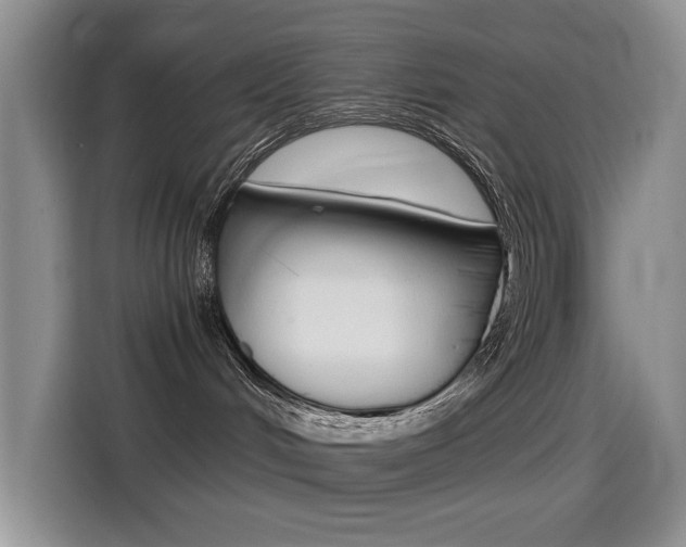 X0000114640048200910200949