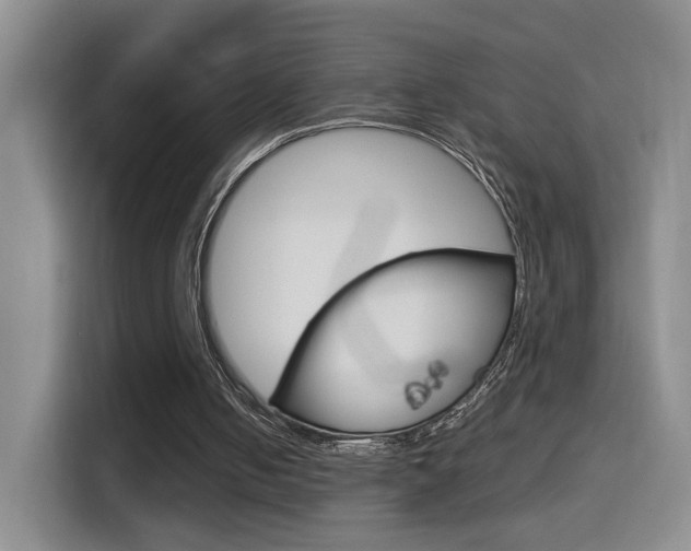 X0000114640050200910200949