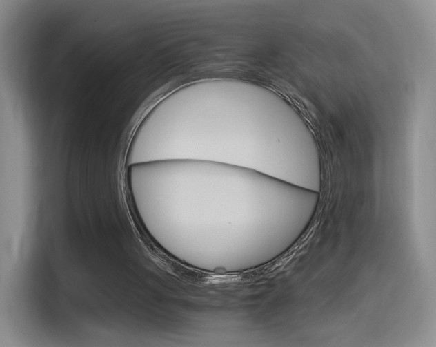 X0000114640051200910200949