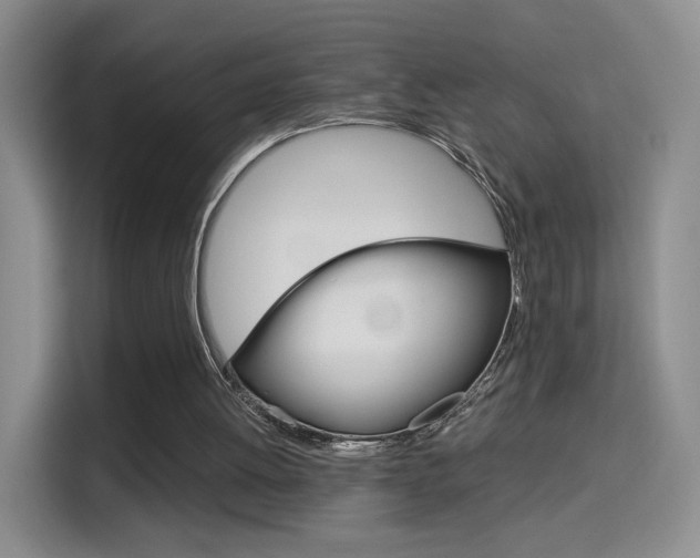 X0000114640052200910200949