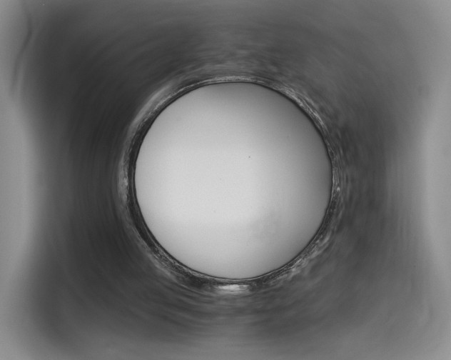 X0000114640053200910200949