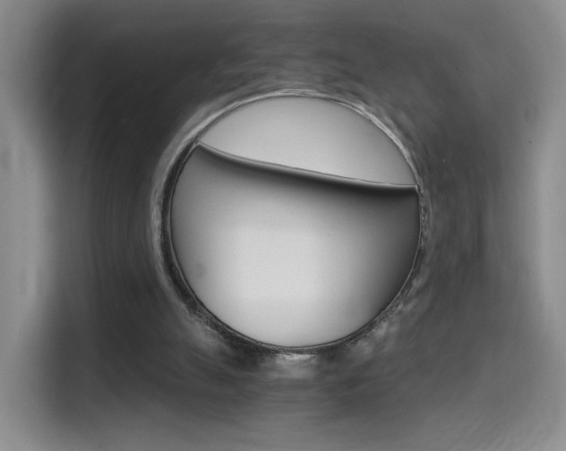 X0000114640055200910200949
