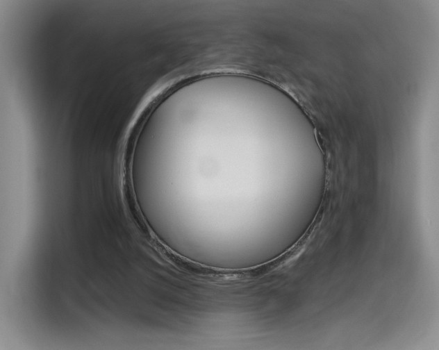 X0000114640056200910200949