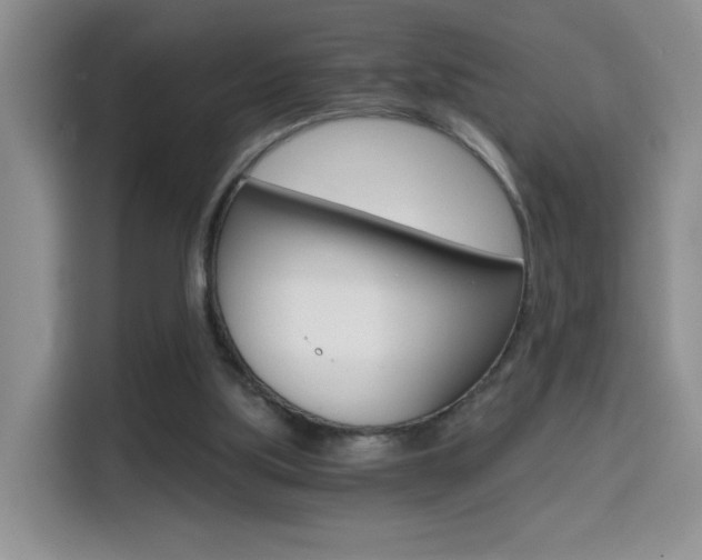 X0000114640059200910200949