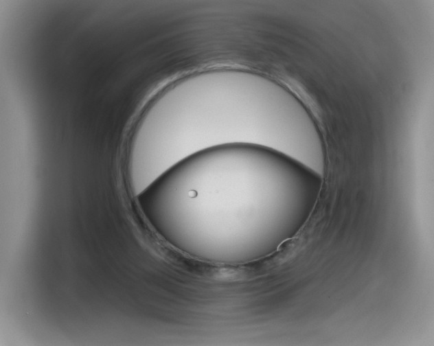 X0000114640060200910200949
