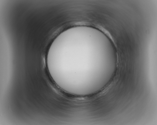 X0000114640061200910200949