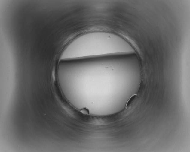 X0000114640062200910200949