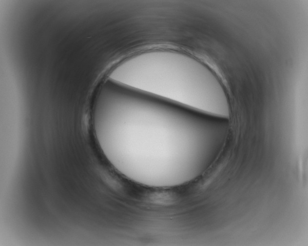 X0000114640063200910200949