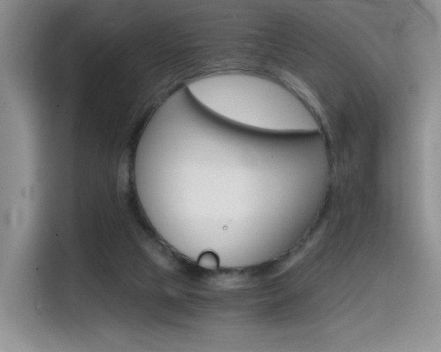 X0000114640065200910200949
