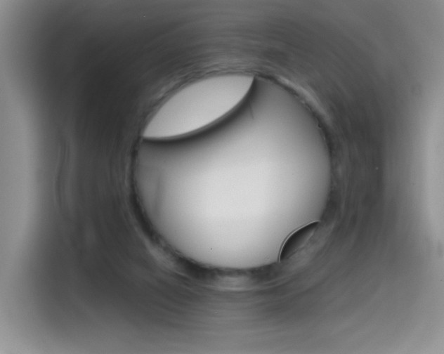 X0000114640066200910200949