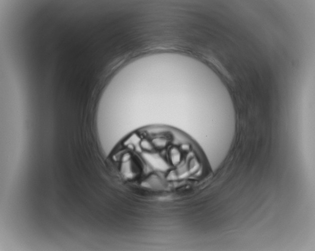 X0000114640068200910200949