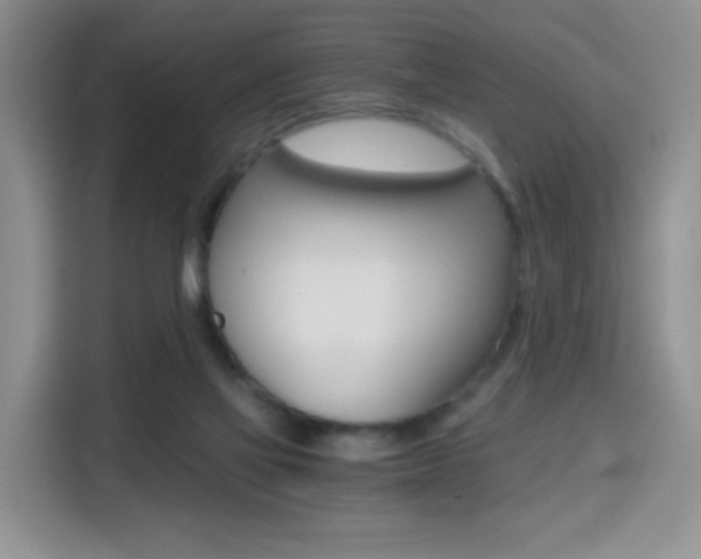 X0000114640069200910200949