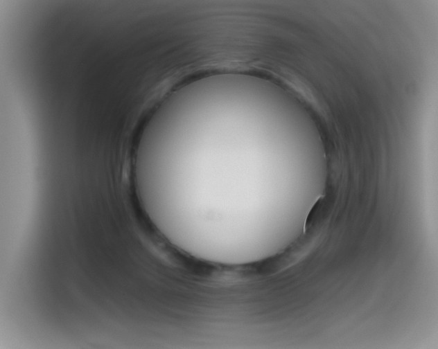 X0000114640072200910200949